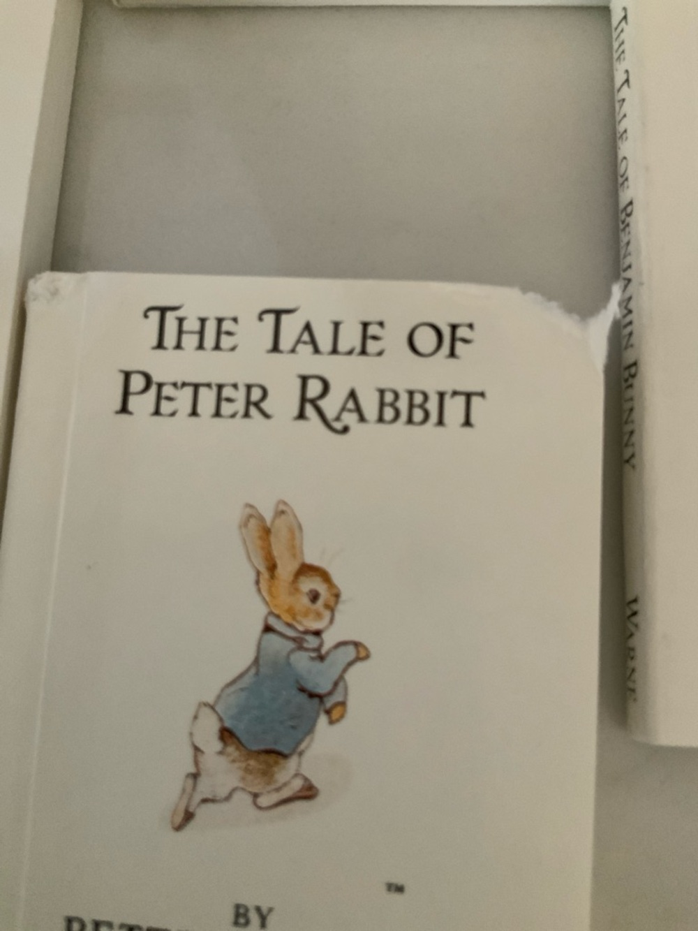 Beatrix Potter The Miniature World of Peter Rabbit 12 Book Box Collection 1989 - Picture 8 of 12